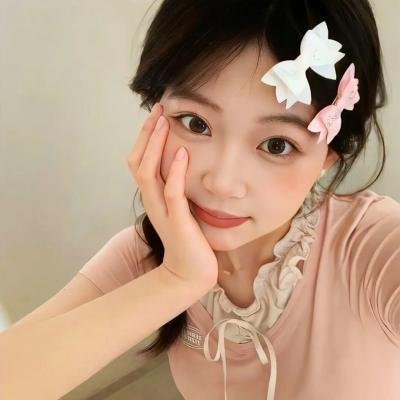 完美的骗子